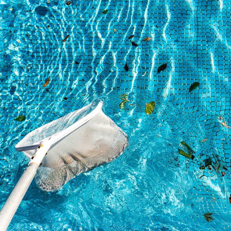 Cleaning Services in Atlanta, GA Cleaning Services in Atlanta, GA